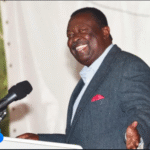 musalia mudavadi biography