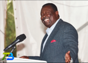 musalia mudavadi biography
