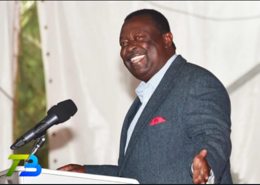 musalia mudavadi biography